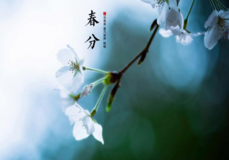 又是春分节气的经典文案说说 春分节气到了的朋友圈句子