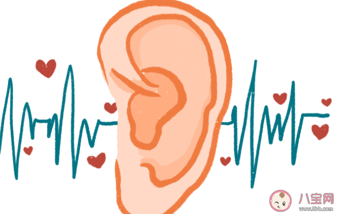 耳朵除了听觉功能还可以感知到什么 蚂蚁庄园3月22日答案