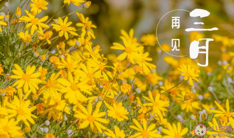 三月结束的心情短语说说 再见三月一句话语录句子 三月结束的心情短语说说 再见三月一句话语录句子