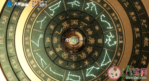 《春分奇遇记》奇在哪里 《春分奇遇记》好看吗