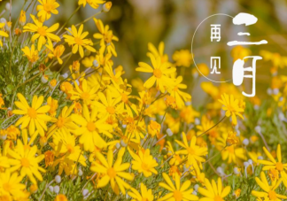 三月结束的心情短语说说 再见三月一句话语录句子