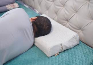 边熬夜边用助眠产品是啥体验 助眠产品真的有用吗