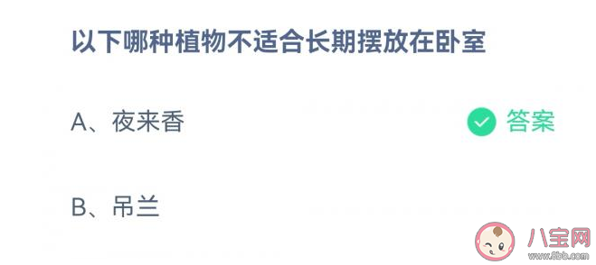 夜来香和吊兰哪种植物不适合长期放在卧室 蚂蚁庄园3月23日正确答案