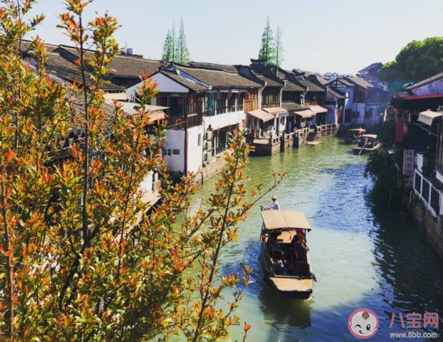 上海在你眼里是怎样的城市 你心中的上海是怎样的