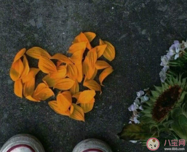 明知没有结果的感情女生还要继续吗 该怎样面对没有结果的感情 明知没有结果的感情女生还要继续吗 该怎样面对没有结果的感情