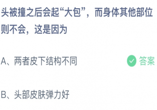 蚂蚁庄园3月24日答案：头被撞之后会起大包身体其他部位不会这是因为