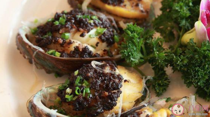 小鸡宝宝考考你鲍鱼是鱼类吗 蚂蚁庄园3月26日答案介绍