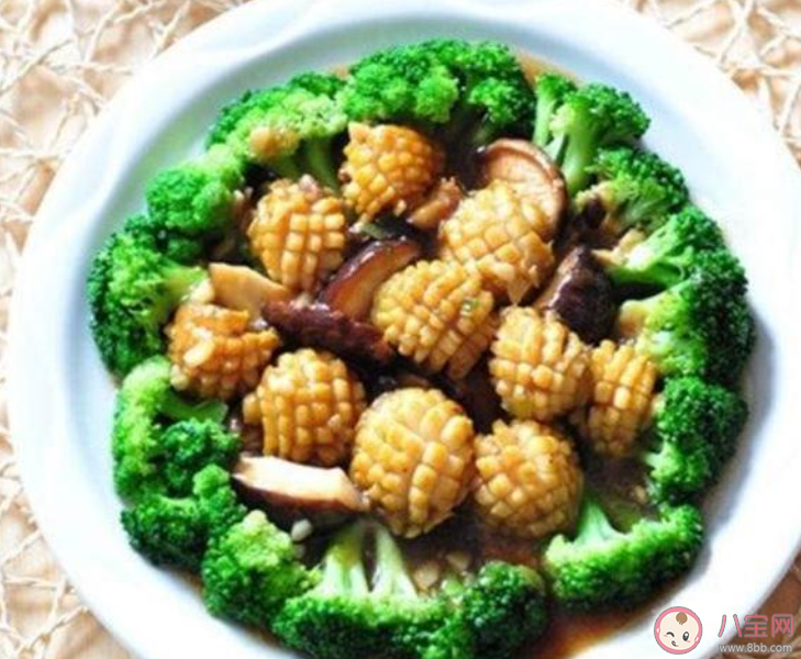 小鸡宝宝考考你鲍鱼是鱼类吗 蚂蚁庄园3月26日答案介绍