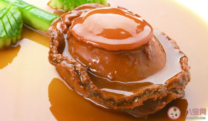 鲍鱼是鱼类吗 蚂蚁庄园3月26日正确答案