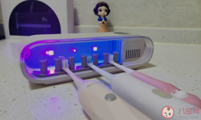 牙刷消毒器有必要购买吗 牙刷消毒器真的能消毒吗