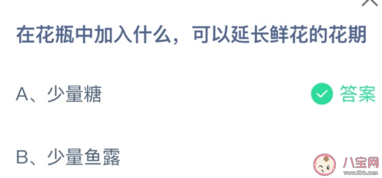 花瓶中加入什么可以延长鲜花的花期 蚂蚁庄园3月29日答案