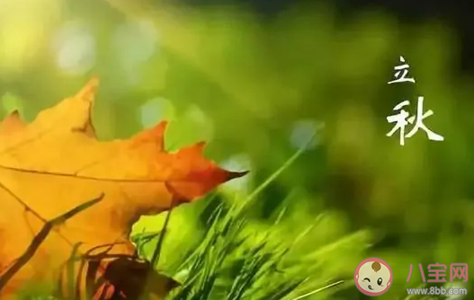 二十四节气是中国劳动人民独创的文化遗产对吗 蚂蚁新村3月28日答案