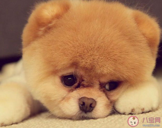 人们普遍觉得累是什么原因 该如何摆脱倦怠感 人们普遍觉得累是什么原因 该如何摆脱倦怠感