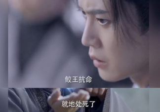 《与君初相识》长意的父亲是怎么死的 长意跌落悬崖后死了吗