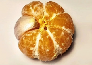 盲目合群真的好吗 要不要盲目合群