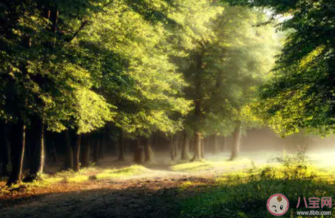 随遇而安是怎样的生活体验 如何看待随遇而安的生活 随遇而安是怎样的生活体验 如何看待随遇而安的生活