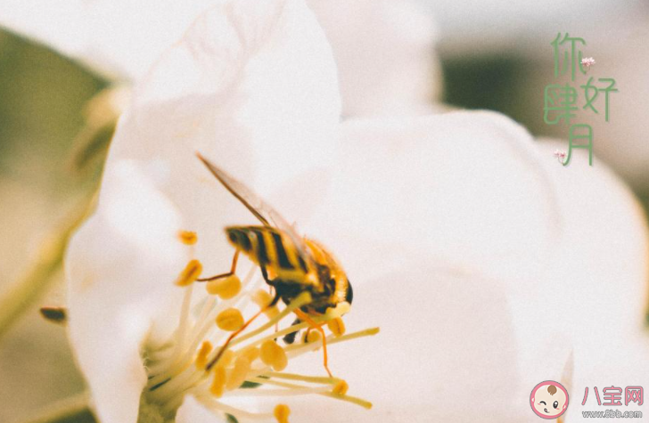 四月第一天的早安心情文案句子 四月第一天早上好的朋友圈