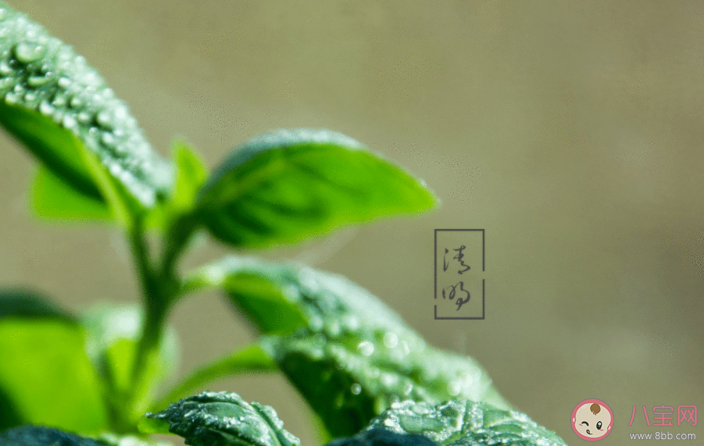 清明节上坟祭奠发朋友圈的句子 清明节祭拜时发朋友圈说说