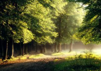 随遇而安是怎样的生活体验 如何看待随遇而安的生活