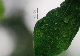 清明节上坟祭奠发朋友圈的句子 清明节祭拜时发朋友圈说说