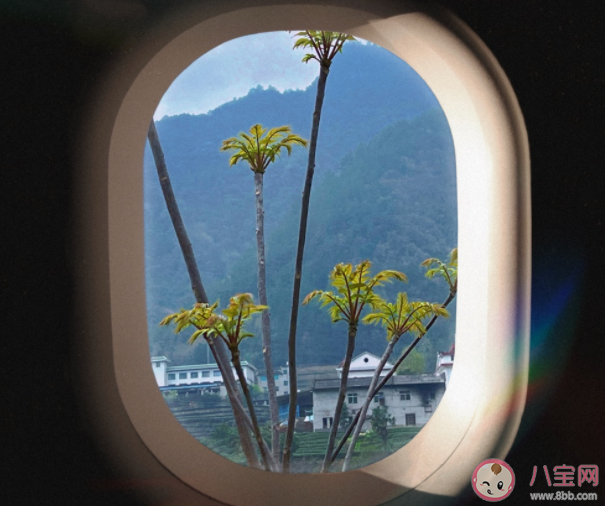 放弃真的就算失败吗 怎样看待放弃的行为 放弃真的就算失败吗 怎样看待放弃的行为