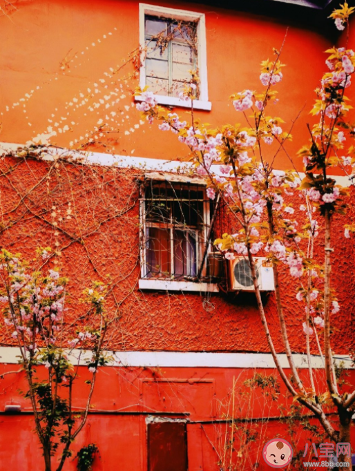 2022年3月最后一天的心情文案句子 3月最后一天的朋友圈文案语录