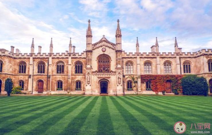 严禁采集学生家长职务和收入信息 学校采集家长信息你怎么看