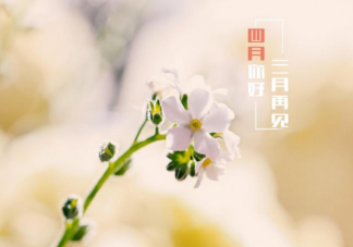 四月第一天最想对自己说什么 四月第一天对自己说的话