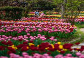 武汉踏青5个好去处 户外踏青要注意什么