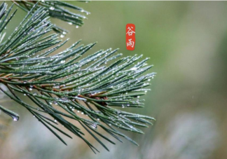 2022谷雨节气唯美图片发朋友圈说说 2022又是谷雨节气的图片说说