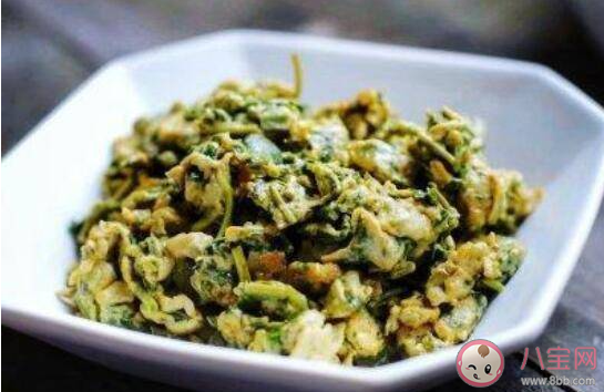 制作香椿之前先焯水会更健康吗 蚂蚁庄园4月3日答案最新