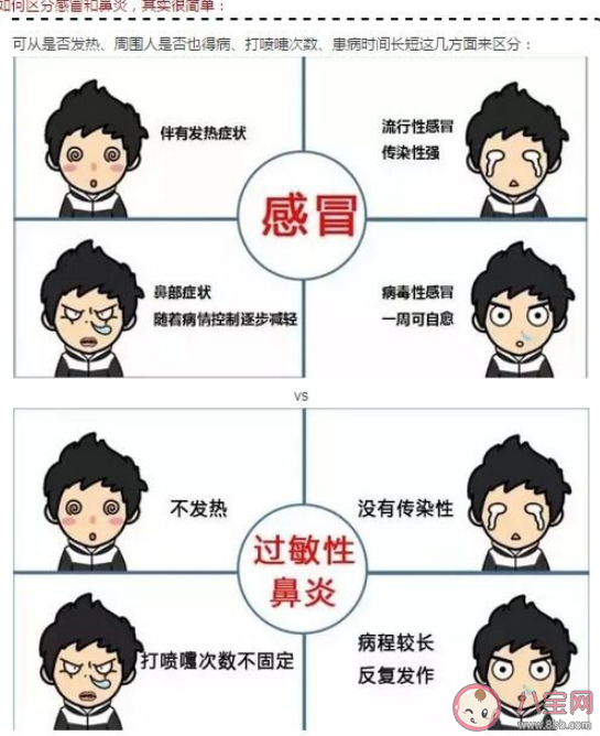 感冒和鼻炎怎么区分 怎么判断是普通感冒还是过敏性鼻炎