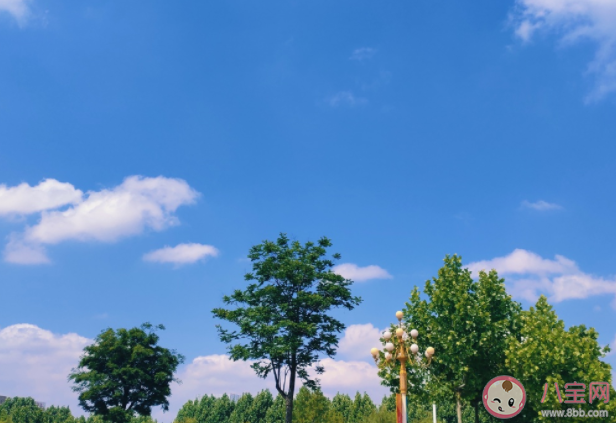 为什么青春总是和夏天有关 夏天和青春有什么关系 为什么青春总是和夏天有关 夏天和青春有什么关系