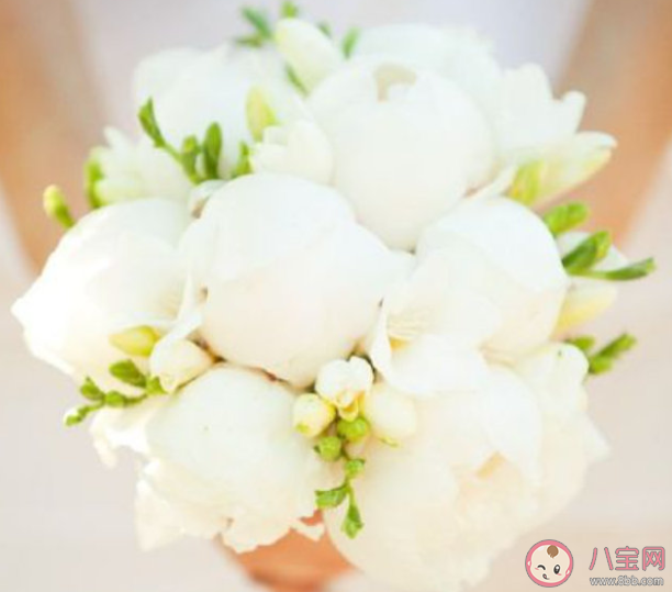 谈恋爱父母不同意怎么办 被父母反对的恋爱还坚持吗 谈恋爱父母不同意怎么办 被父母反对的恋爱还坚持吗