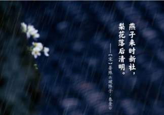 2022年清明节高速免费吗 清明节出行要注意些什么