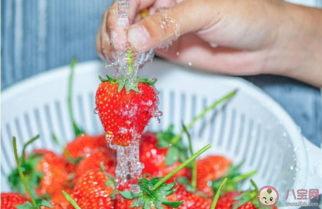 清洗草莓前需要去蒂吗 蚂蚁庄园4月7日问题答案