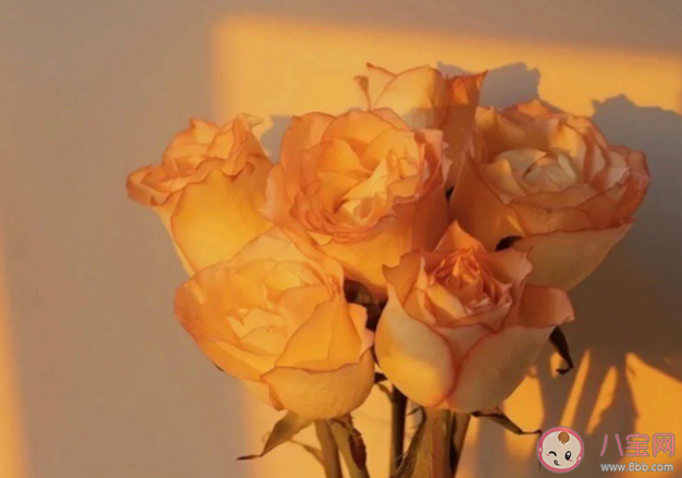 如何面对渐行渐远的青春 怎样让青春更有意义