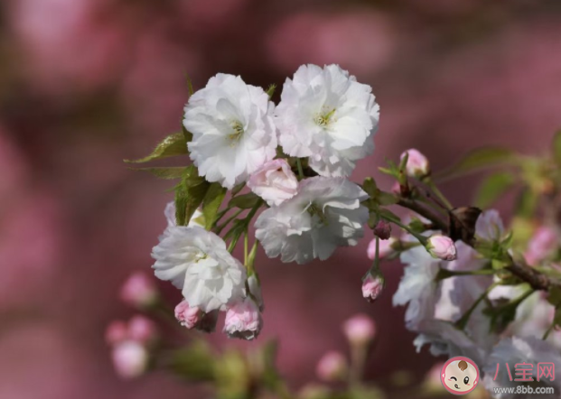 如何控制情绪而不是压抑情绪 正确控制情绪的方法有哪些 如何控制情绪而不是压抑情绪 正确控制情绪的方法有哪些