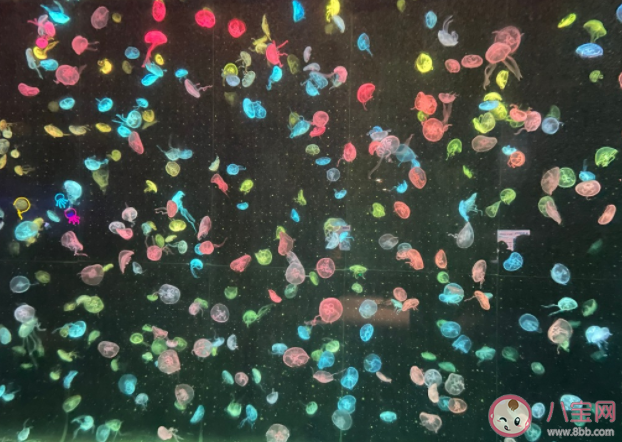 如何控制情绪而不是压抑情绪 正确控制情绪的方法有哪些 如何控制情绪而不是压抑情绪 正确控制情绪的方法有哪些