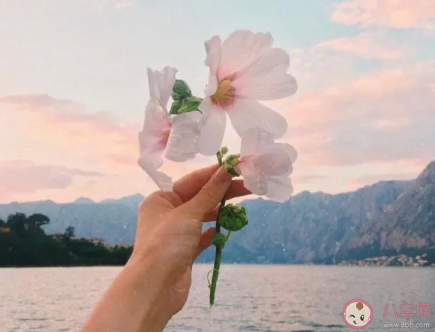 两情相悦的爱情什么体验 怎样看待两情相悦的爱情 两情相悦的爱情什么体验 怎样看待两情相悦的爱情