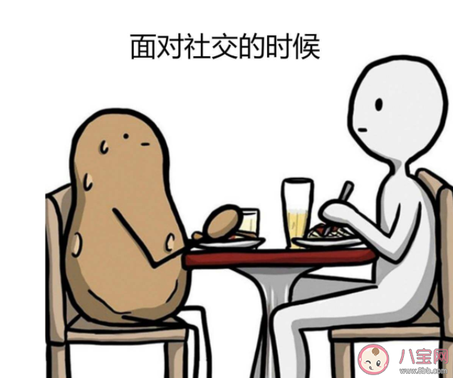 为啥有人既社恐又社牛 如何引导孩子正确社交 为啥有人既社恐又社牛 如何引导孩子正确社交