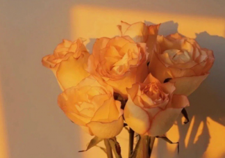 如何面对渐行渐远的青春 怎样让青春更有意义