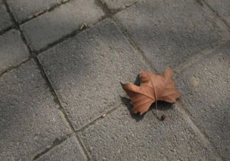 分手值得难过吗 成年人分手容易吗