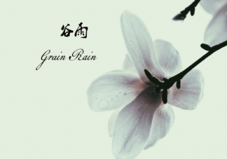 2022又是一年谷雨节气的经典文案说说 2022谷雨节气来到了的句子大全