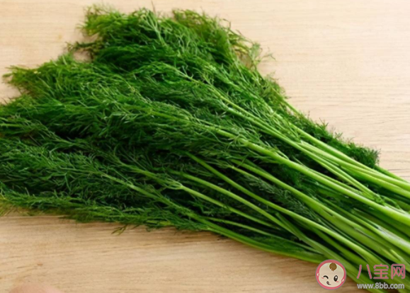 茴香和香菜哪种蔬菜含盐量更高 蚂蚁庄园4月12日正确答案