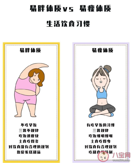 易胖体质是天生的吗 如何成为易瘦体质