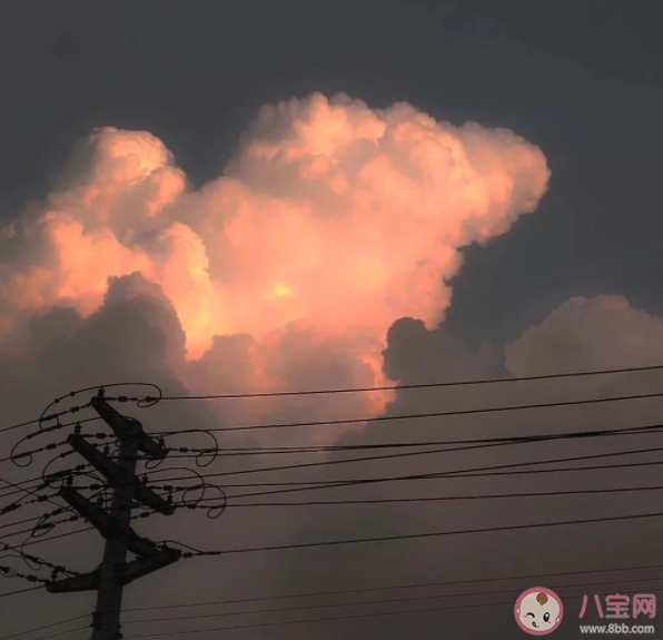 有哪些人间清新的文案句子 人间清醒金句文案大全