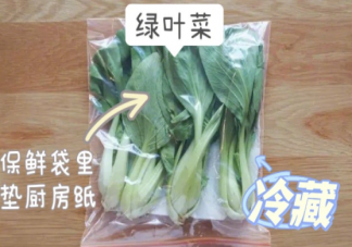 如何正确保存蔬菜 不同种类蔬菜如何保存
