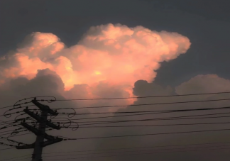 有哪些人间清新的文案句子 人间清醒金句文案大全