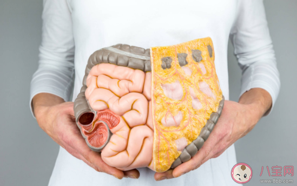 怎么吃会让肠道越来越堵 肠道健康有多重要